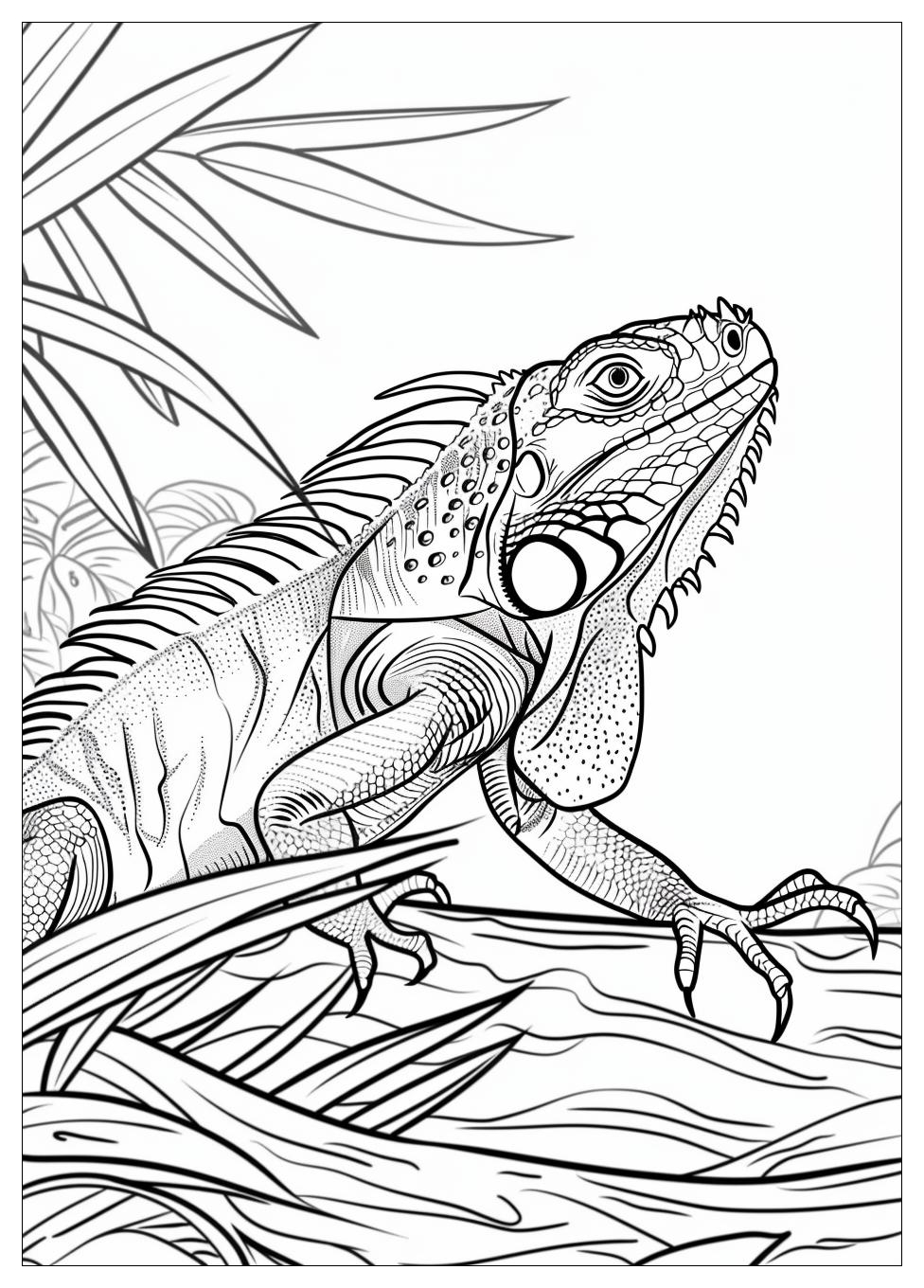 Iguana Coloring Pages-5