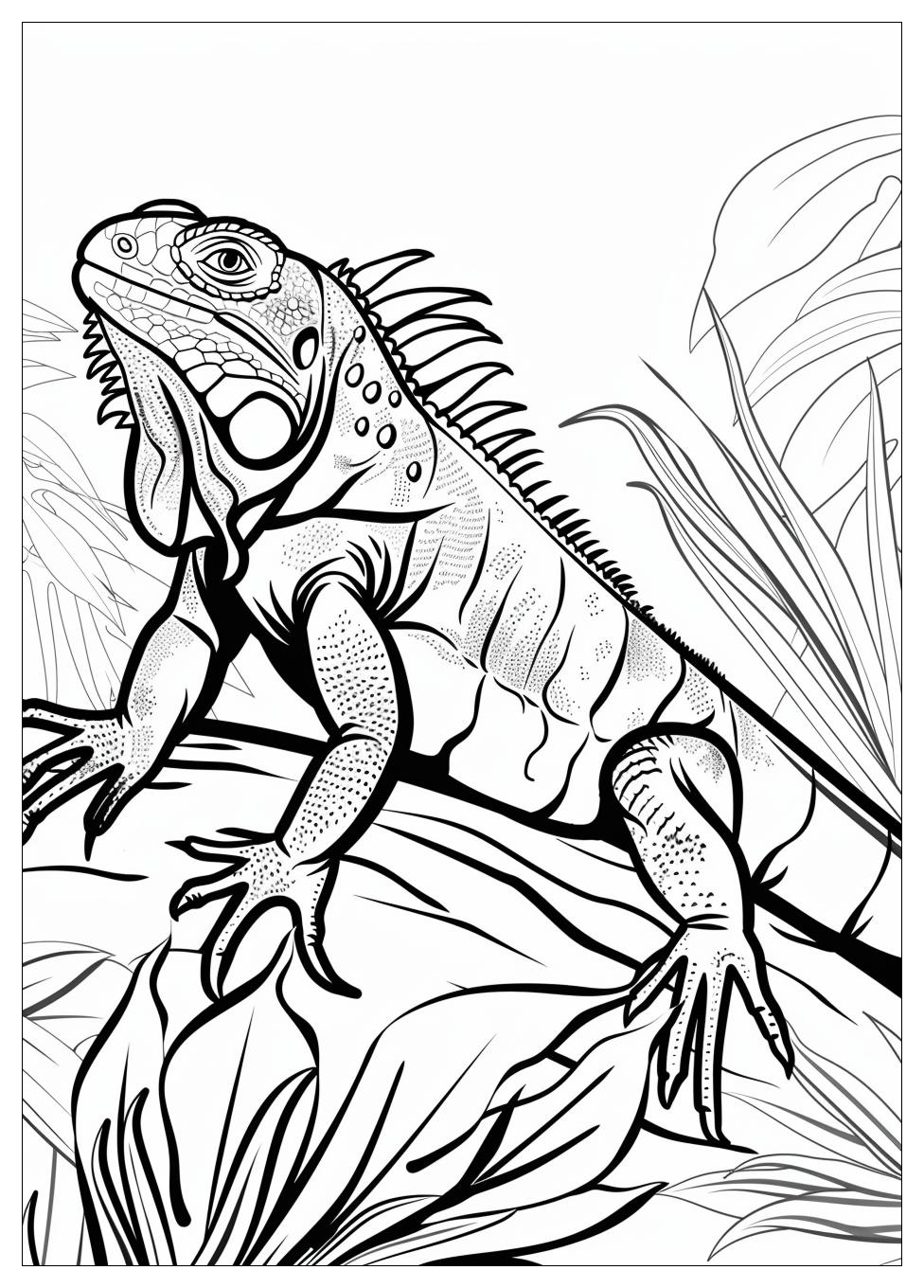 Iguana Coloring Pages-6