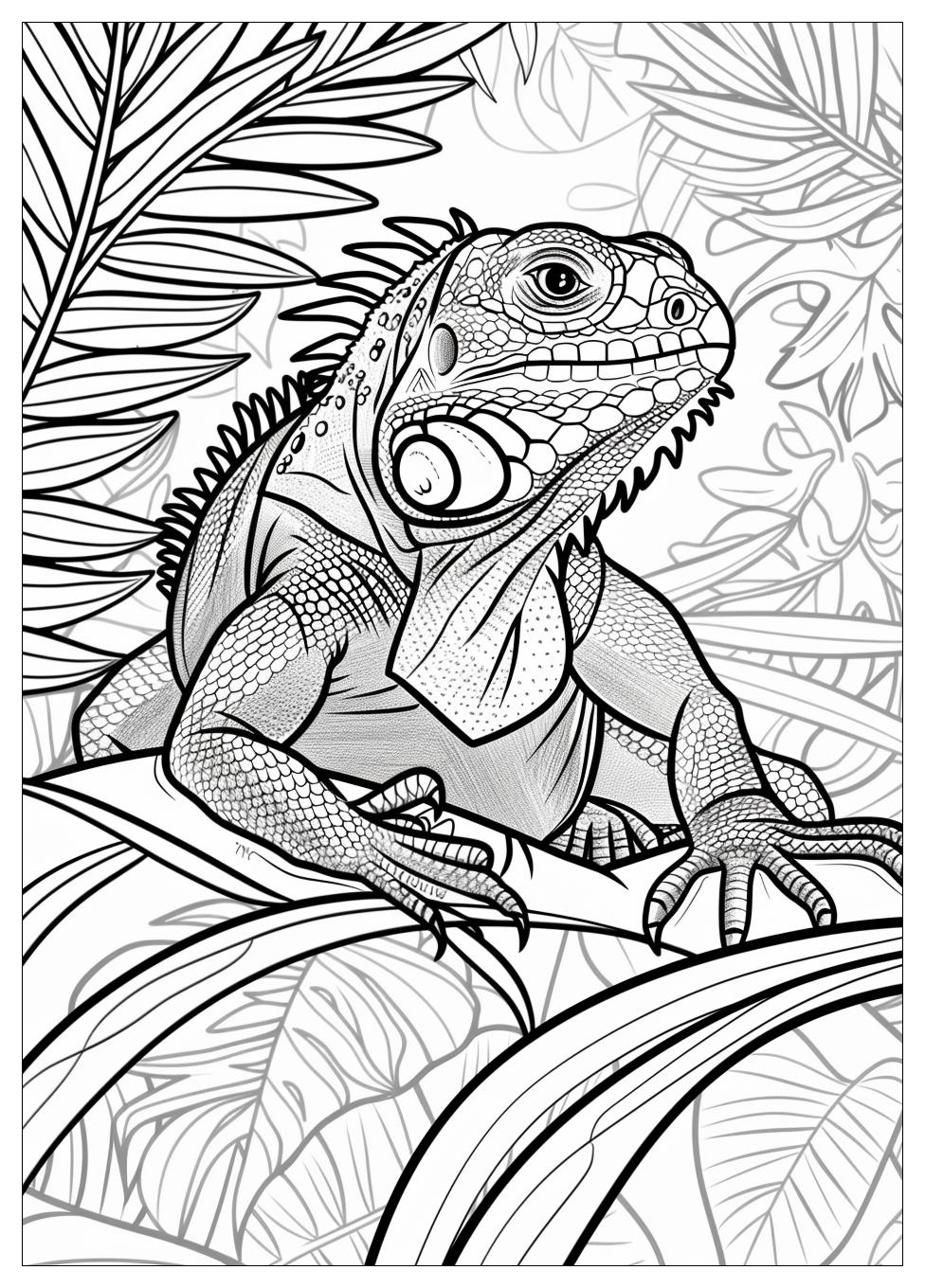 Iguana Coloring Pages-7