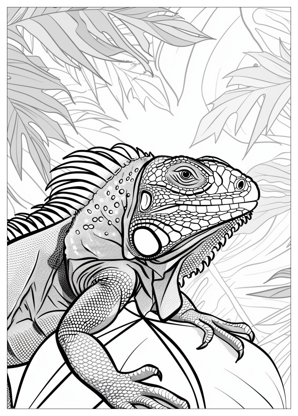 Iguana Coloring Pages-8