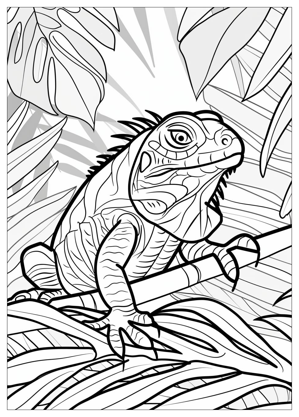 Iguana Coloring Pages-9
