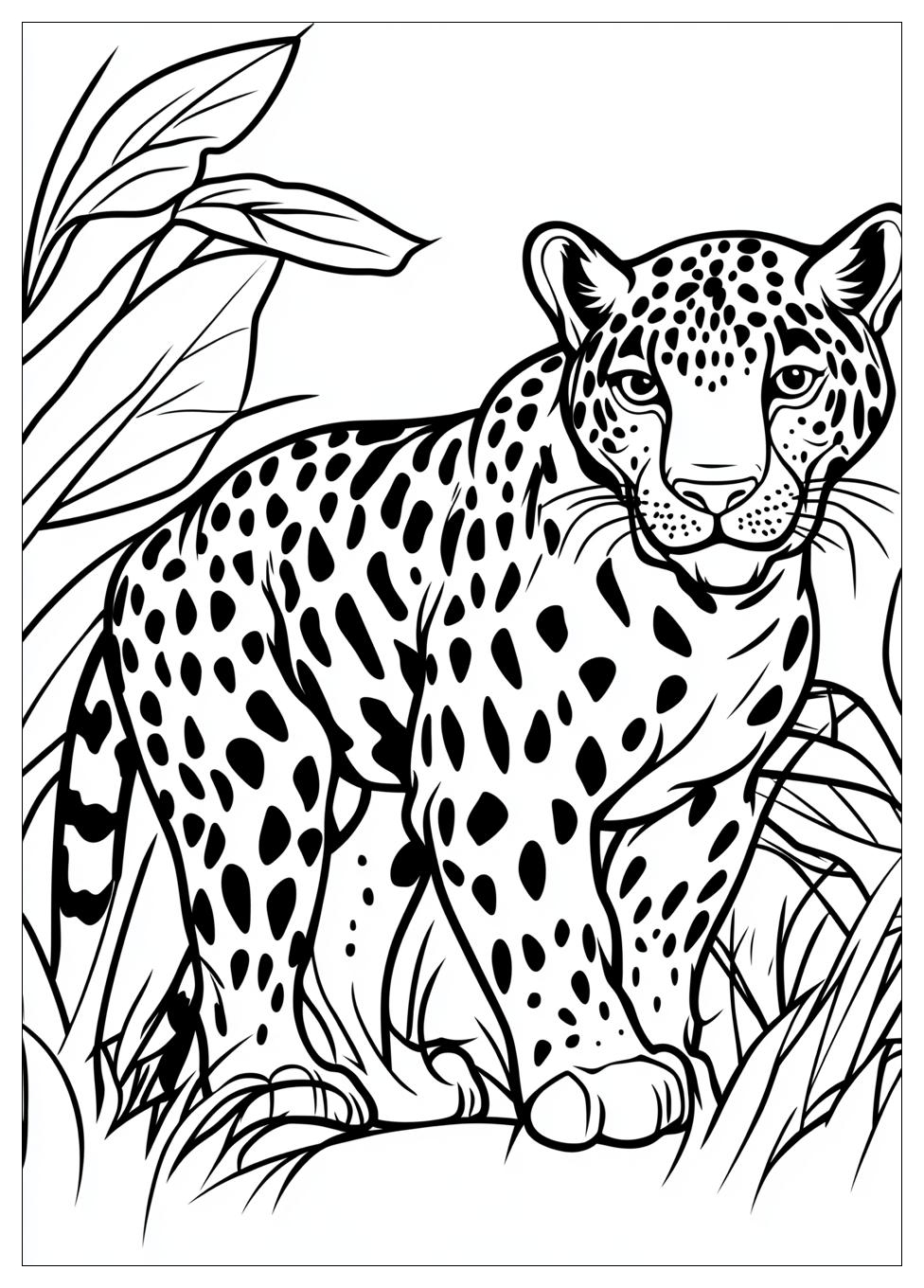 Jaguar Coloring Pages-1