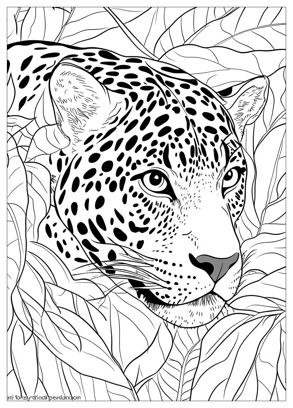 Jaguar Coloring Pages-10