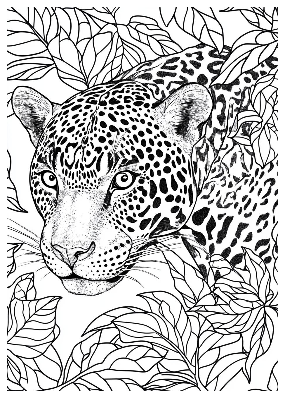 Jaguar Coloring Pages-16