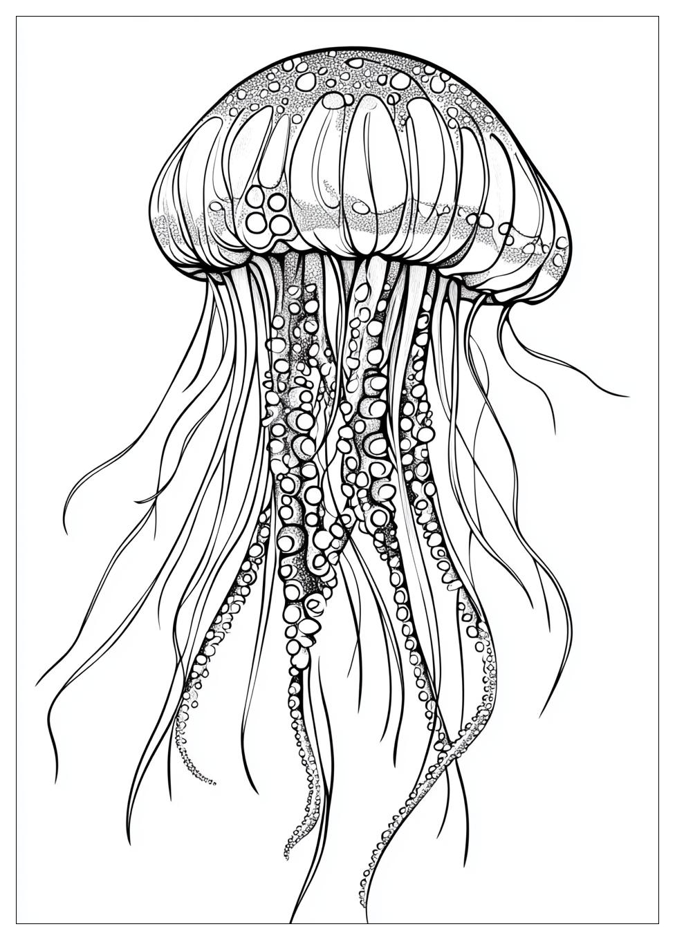 Free Printable Jellyfish Coloring Pages 18 Jellyfish Coloring Pages-18