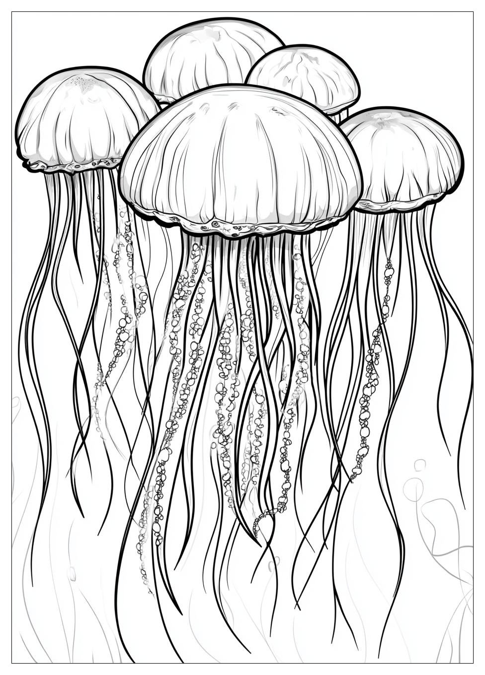 Free Printable Jellyfish Coloring Pages 3 Jellyfish Coloring Pages-3