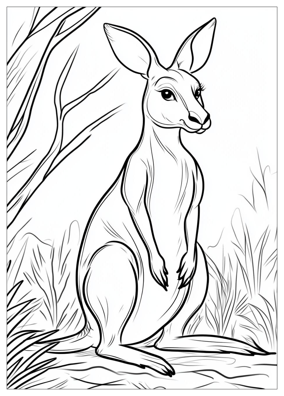 Kangaroo Coloring Pages-11