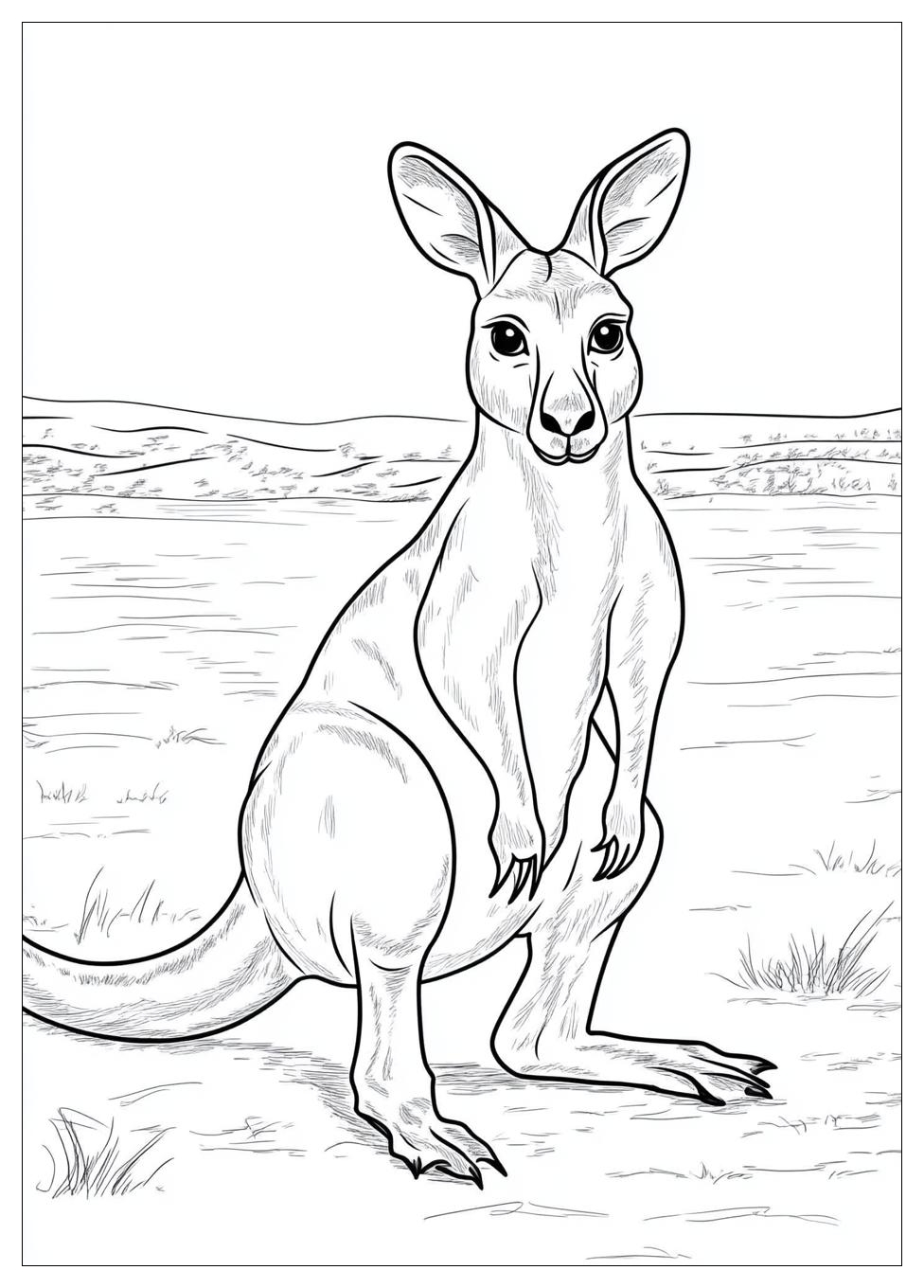 Kangaroo Coloring Pages-12