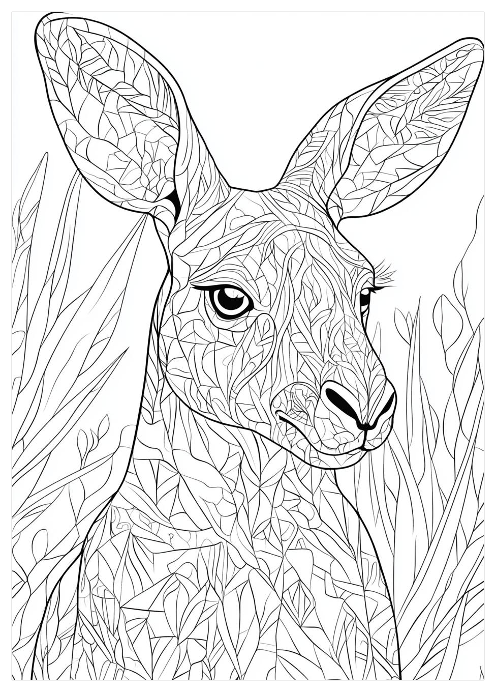Kangaroo Coloring Pages-16