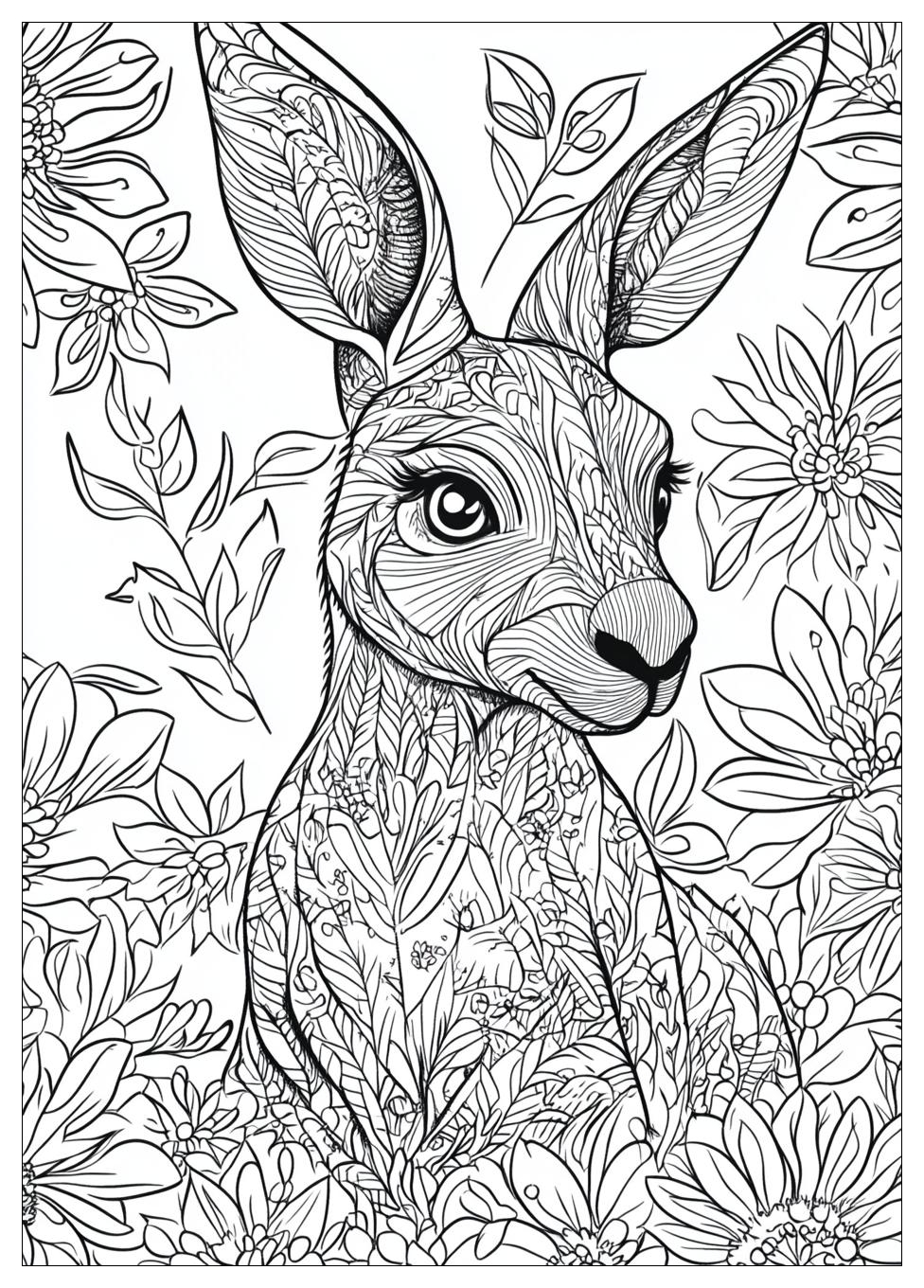Kangaroo Coloring Pages-17