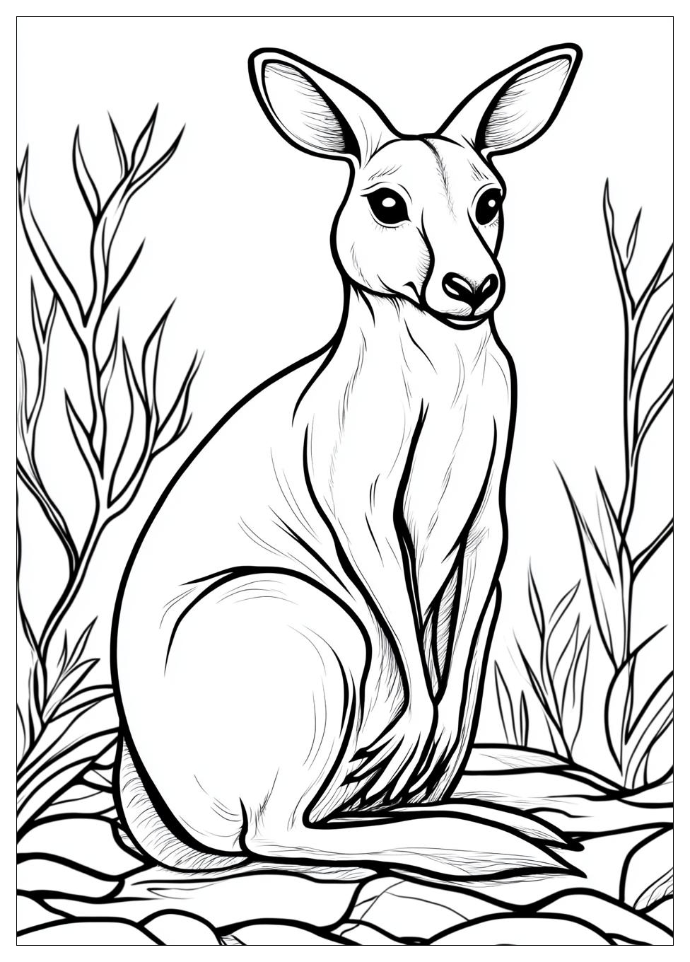 Kangaroo Coloring Pages-3