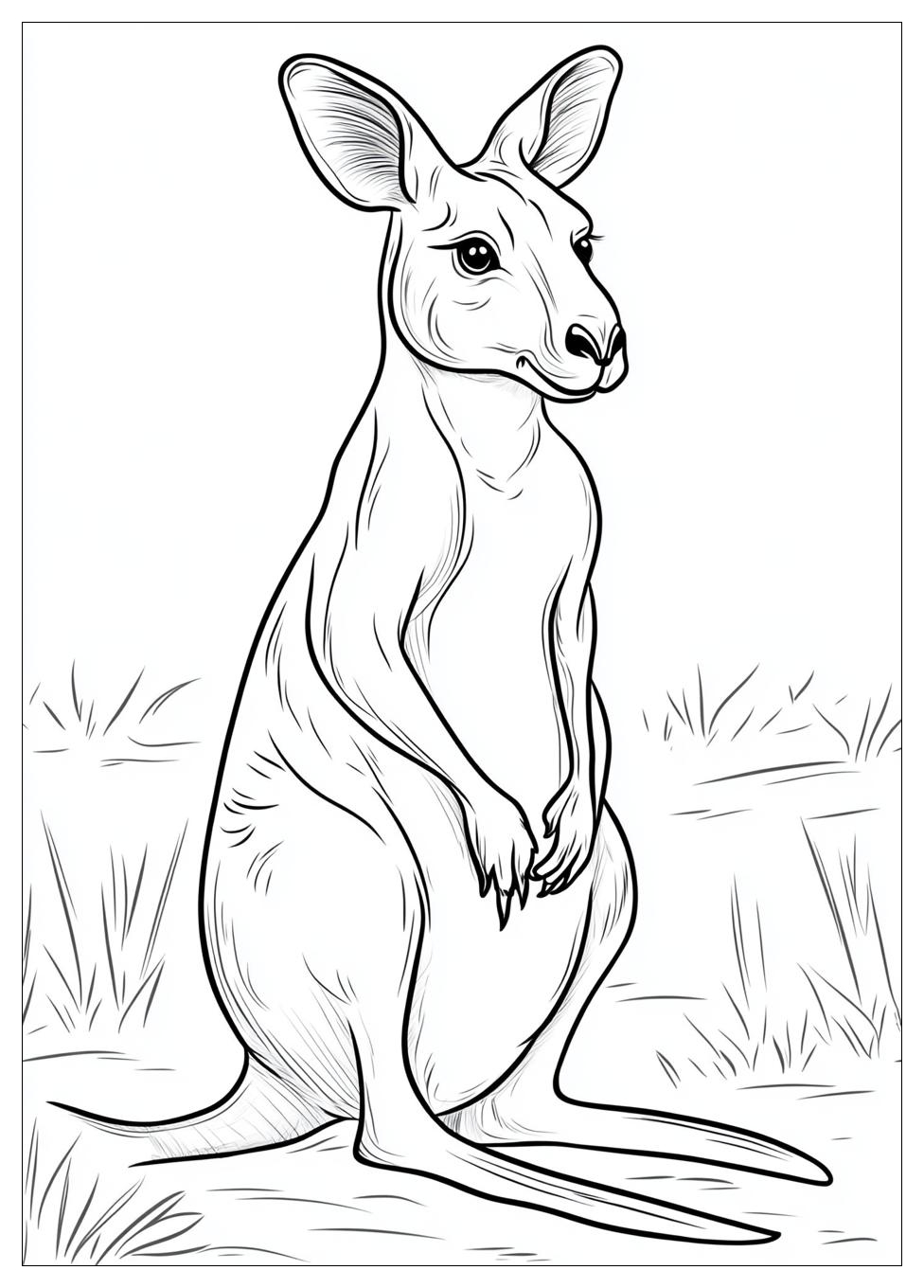 Kangaroo Coloring Pages-4