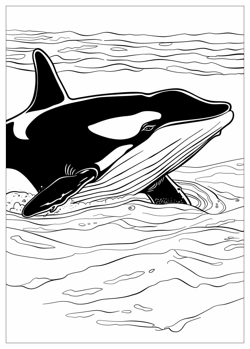 Killer Whale Coloring Pages-1
