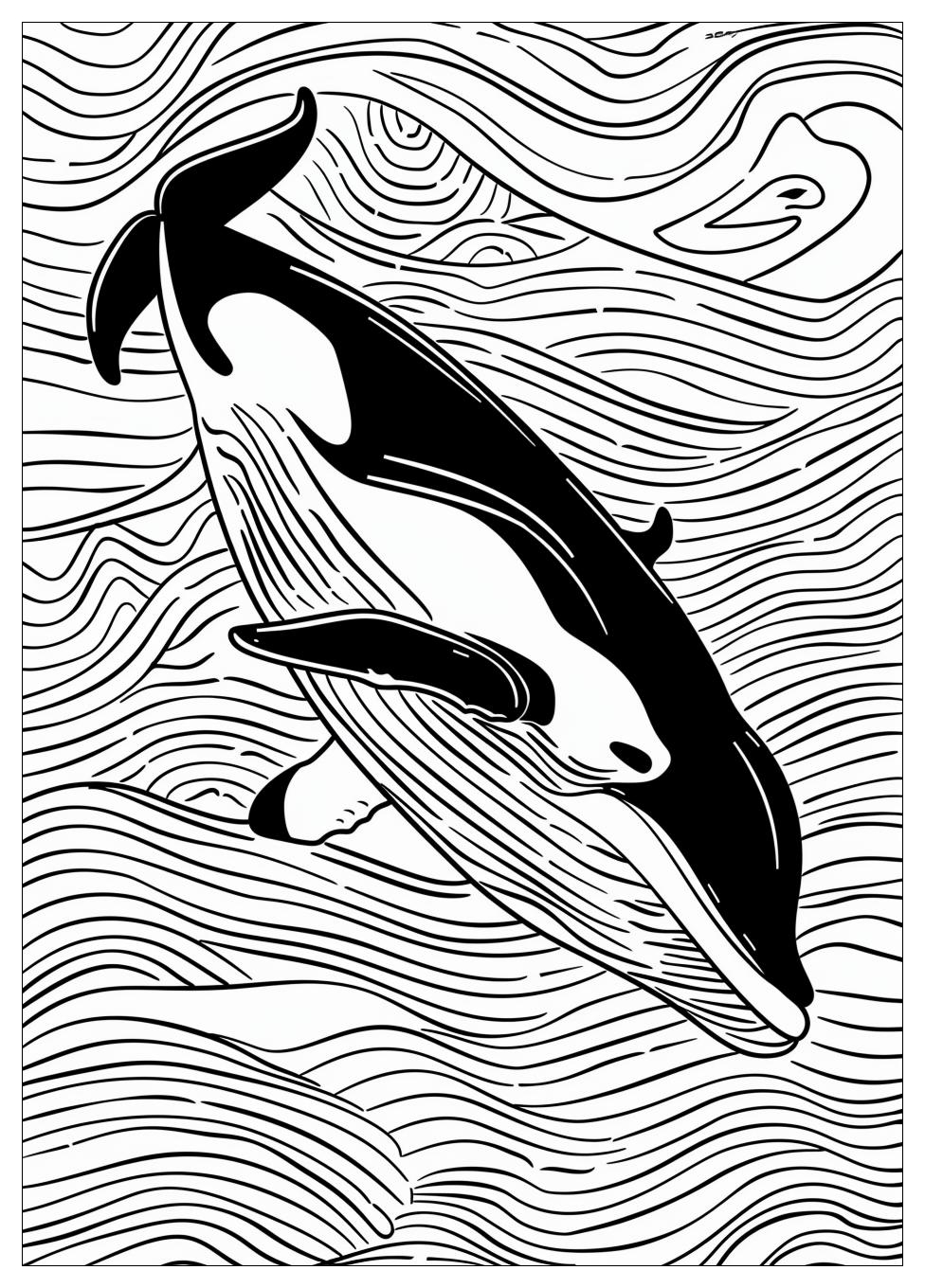 Killer Whale Coloring Pages-12