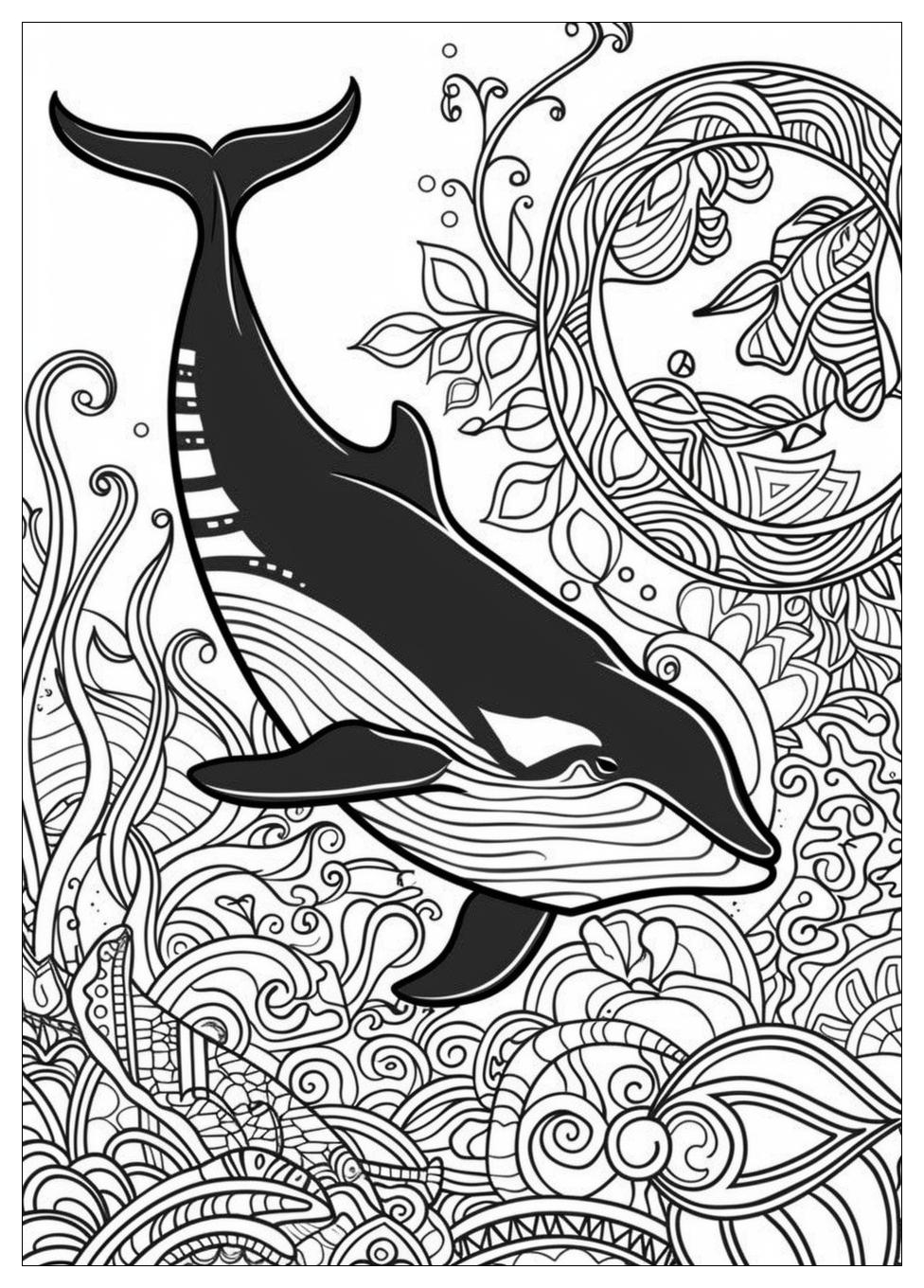 Killer Whale Coloring Pages-13