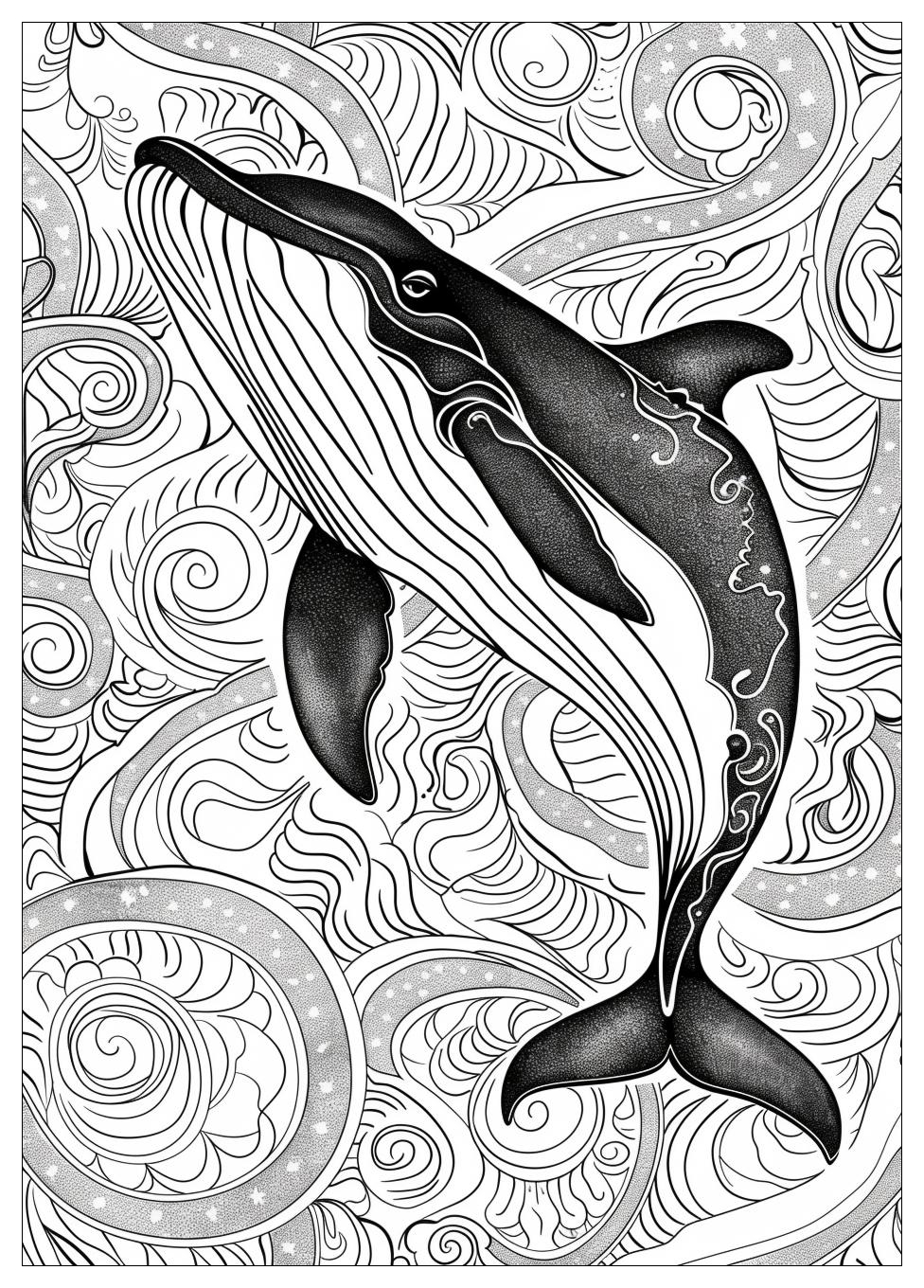 Killer Whale Coloring Pages-14