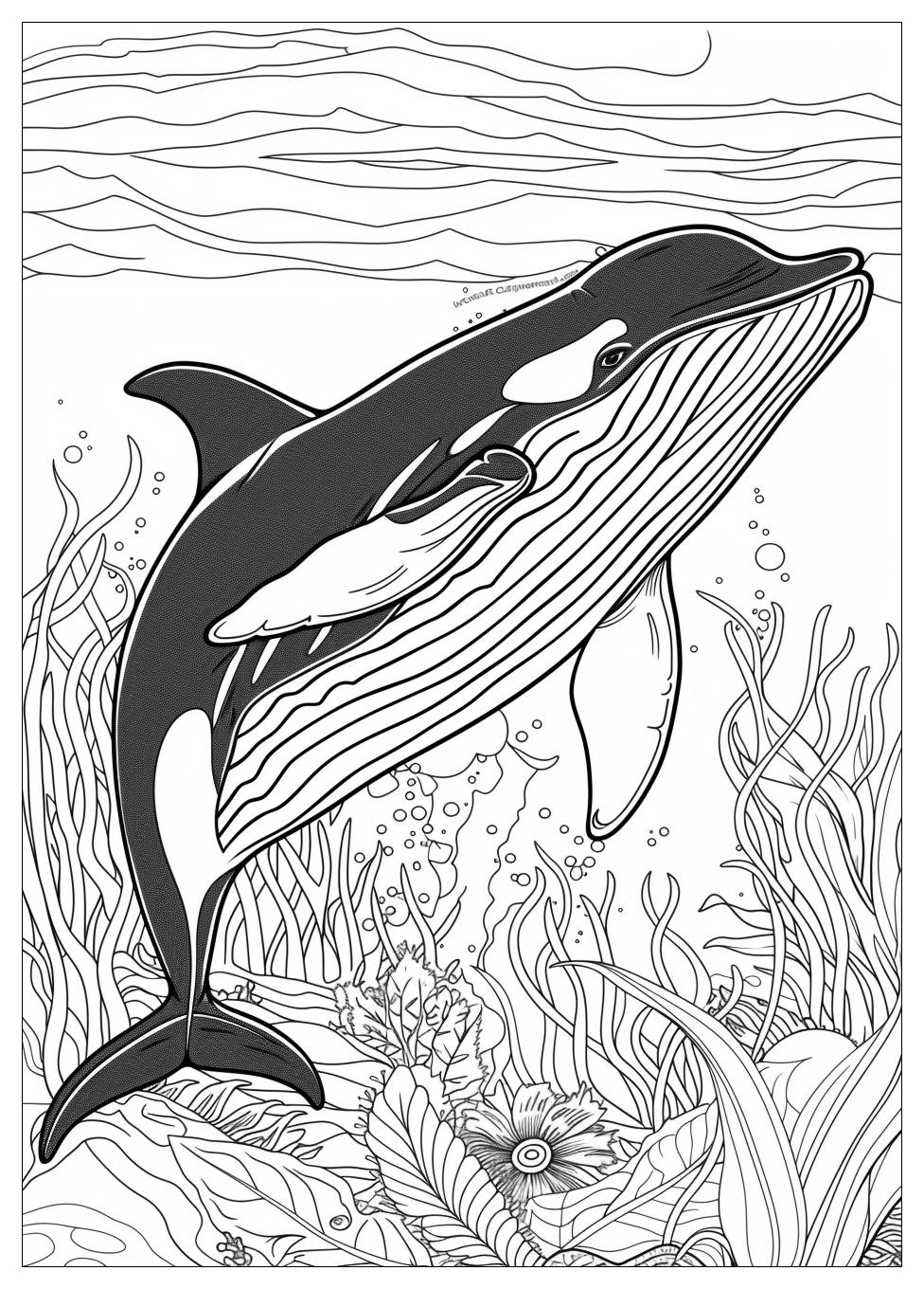 Killer Whale Coloring Pages-15