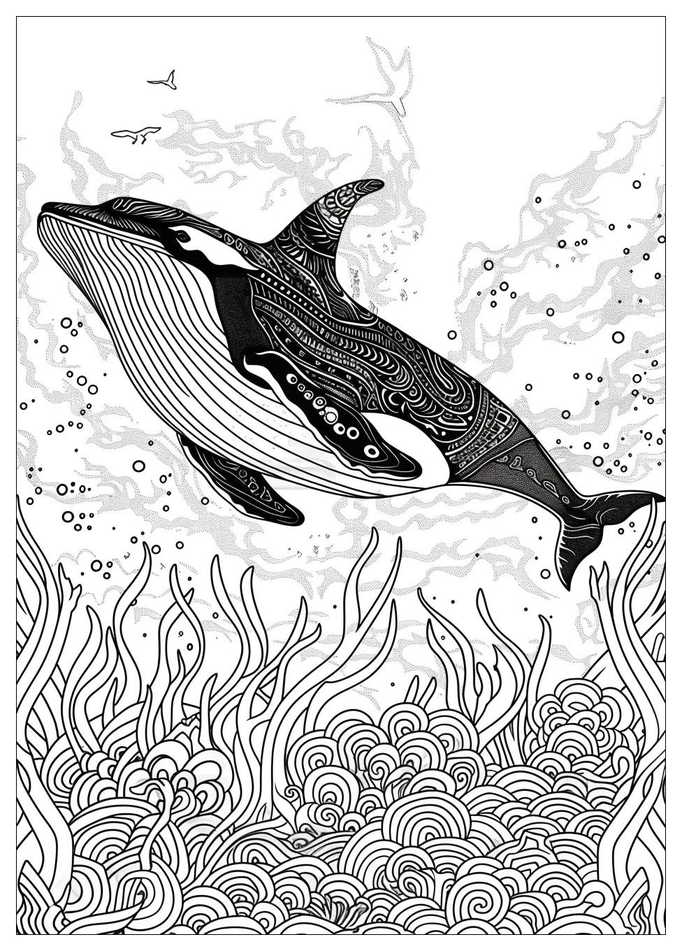 Killer Whale Coloring Pages-17
