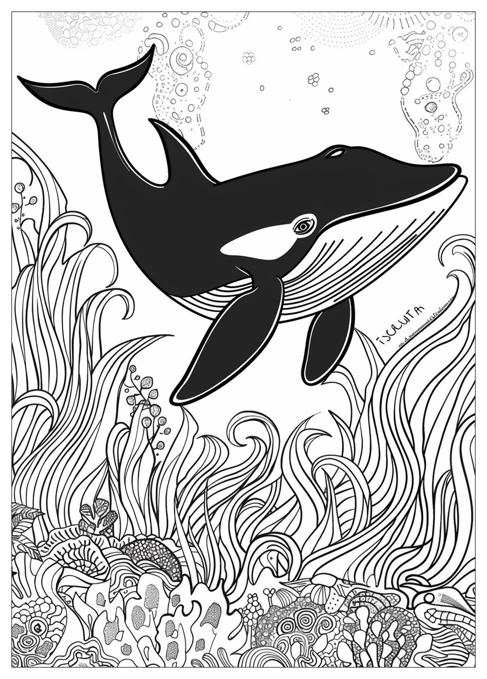 Killer Whale Coloring Pages-18