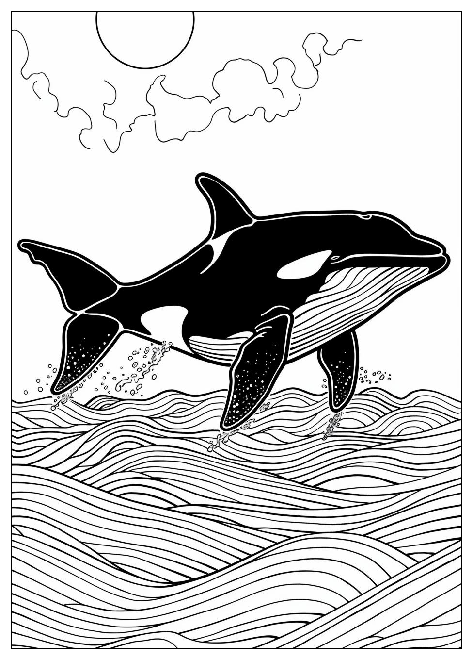 Killer Whale Coloring Pages-2