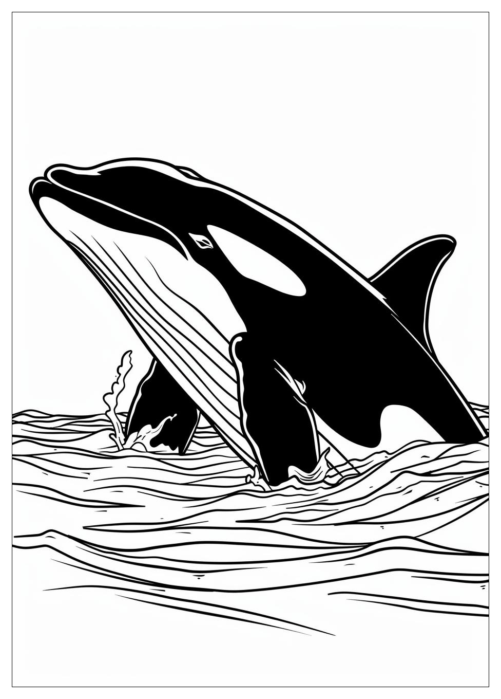 Killer Whale Coloring Pages-3