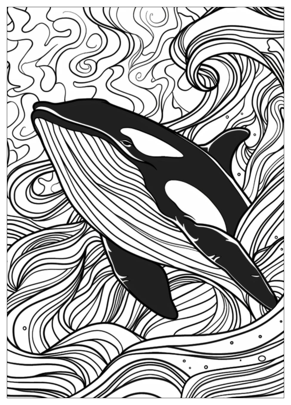 Killer Whale Coloring Pages-7
