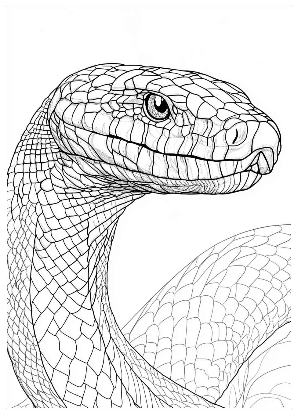 King Cobra Coloring Pages-19