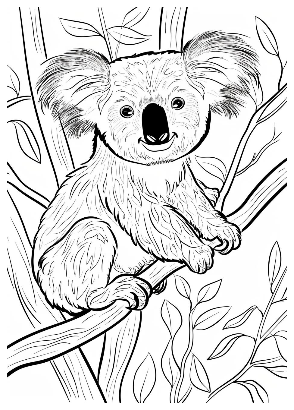 Koala Coloring Pages-10