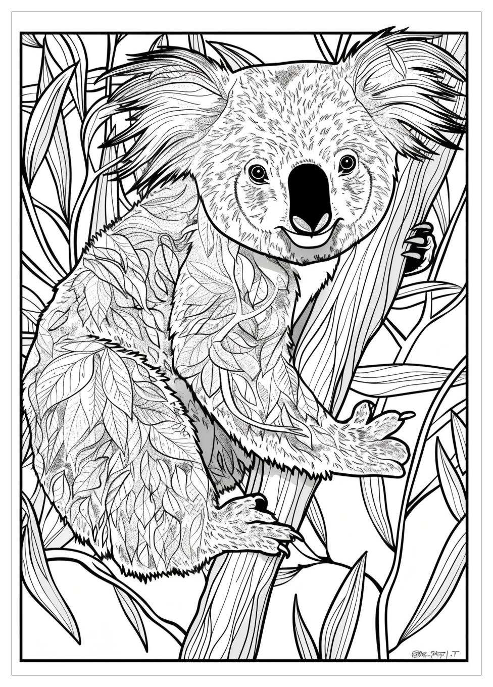 Koala Coloring Pages-13