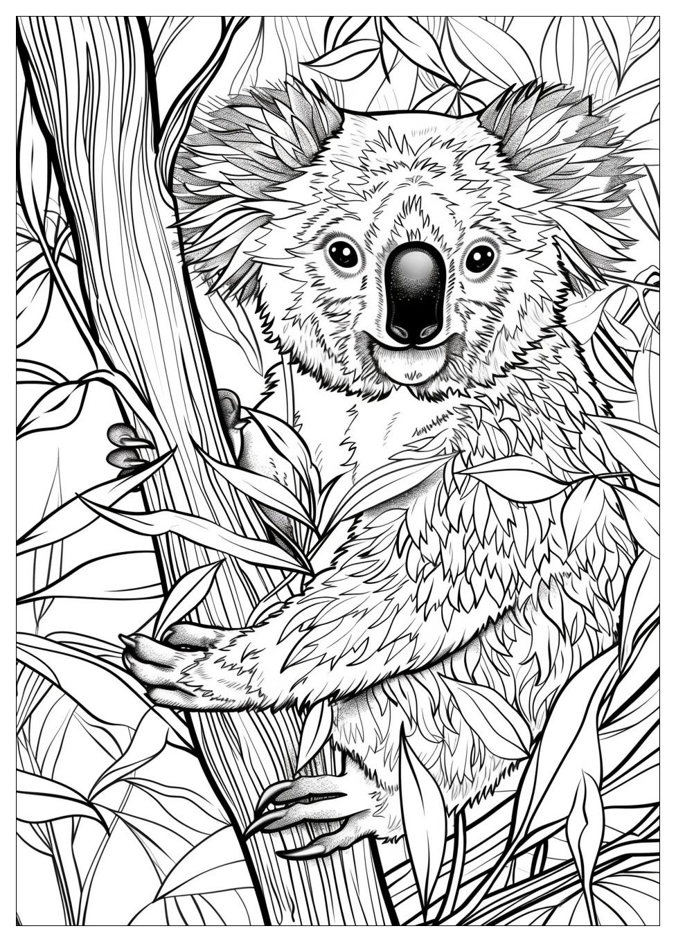 Koala Coloring Pages-16