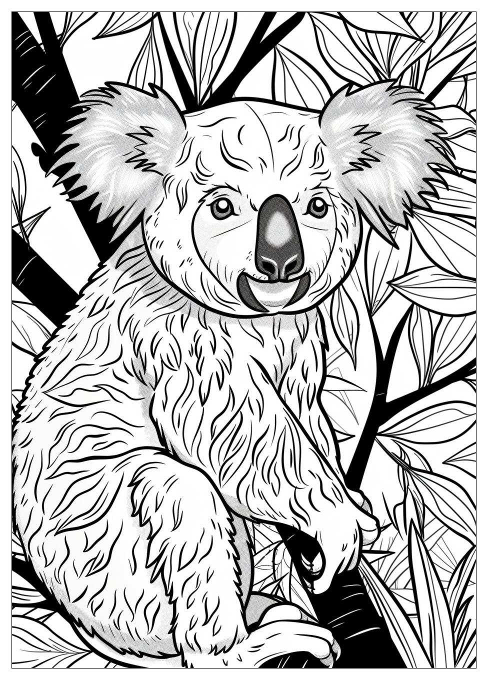 Koala Coloring Pages-5
