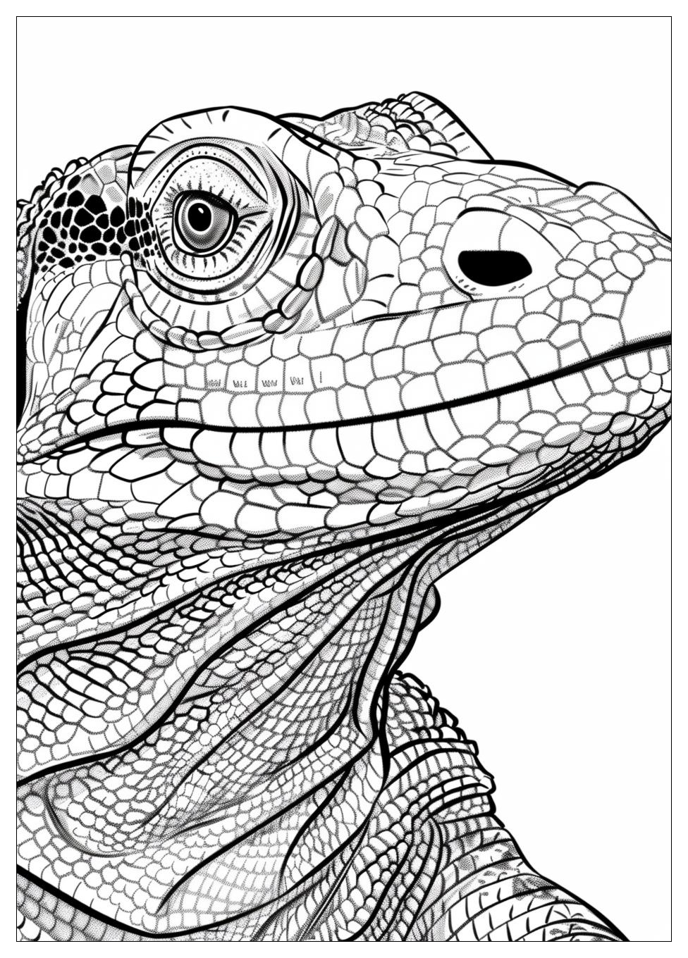 Komodo Dragon Coloring Pages-1