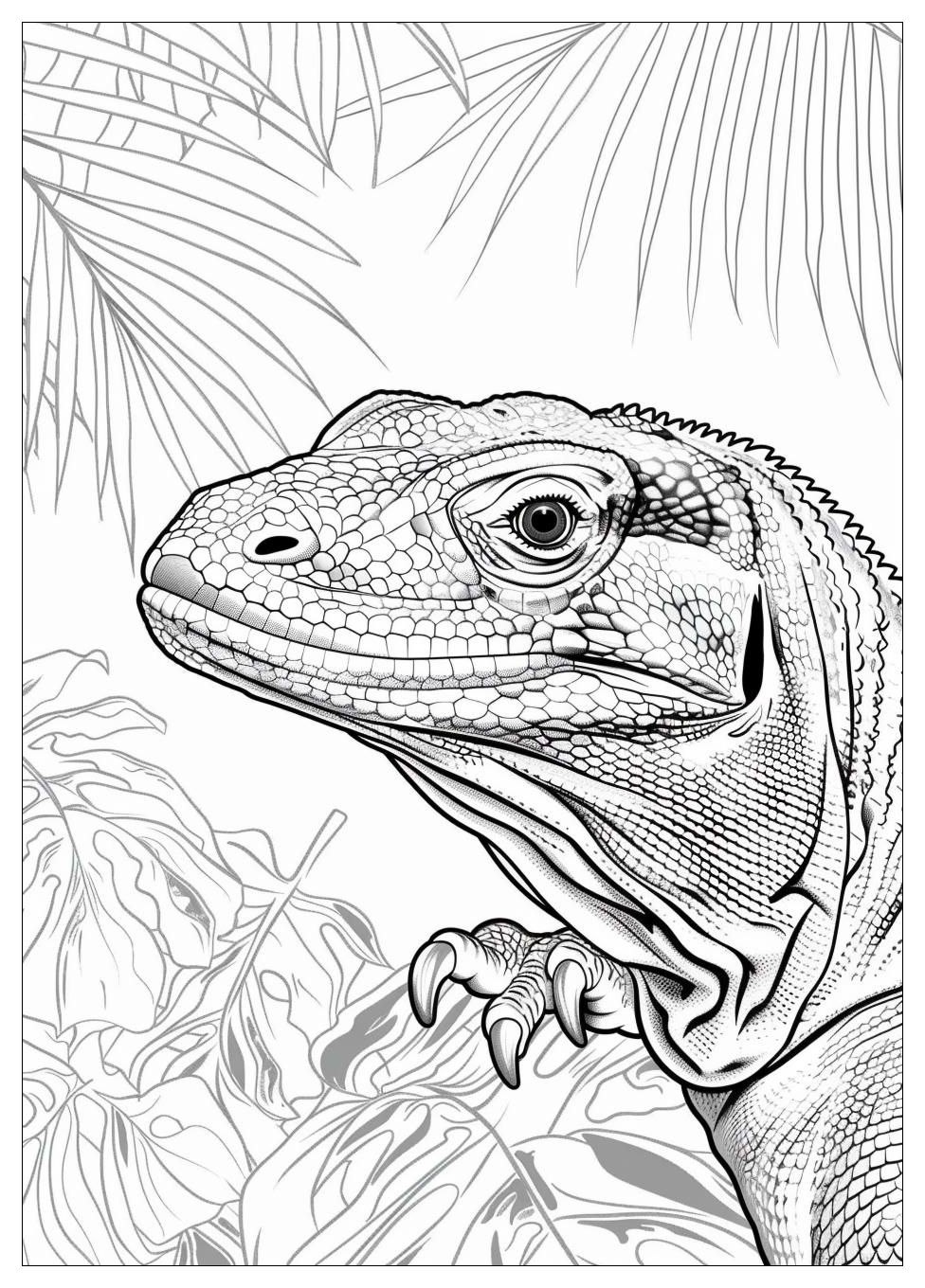 Komodo Dragon Coloring Pages-11