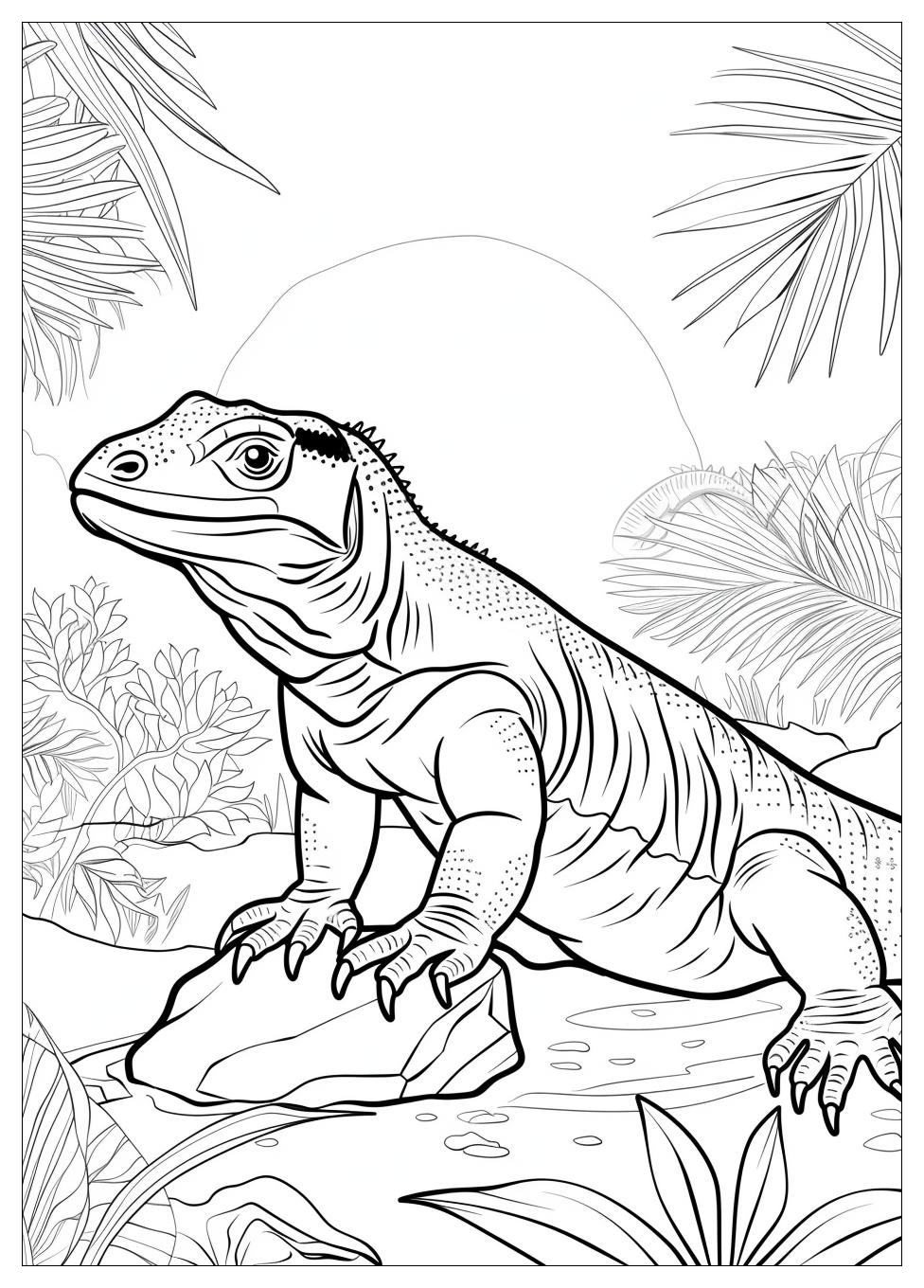 Komodo Dragon Coloring Pages-12