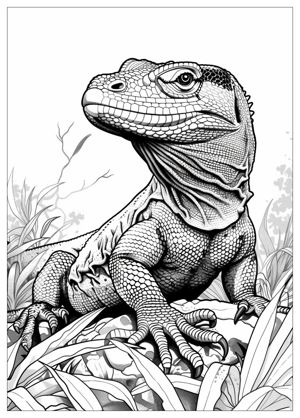 Komodo Dragon Coloring Pages-13
