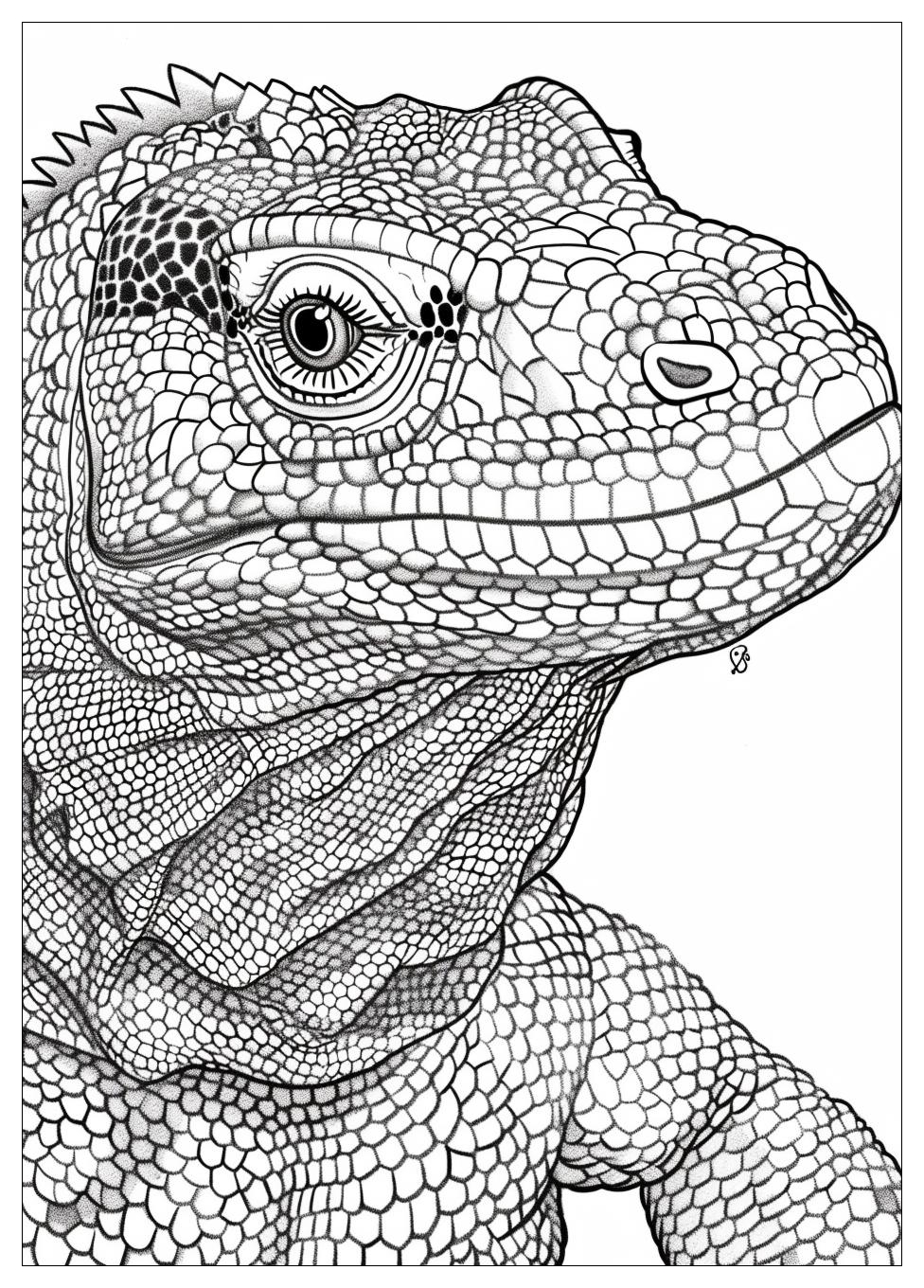 Komodo Dragon Coloring Pages-14