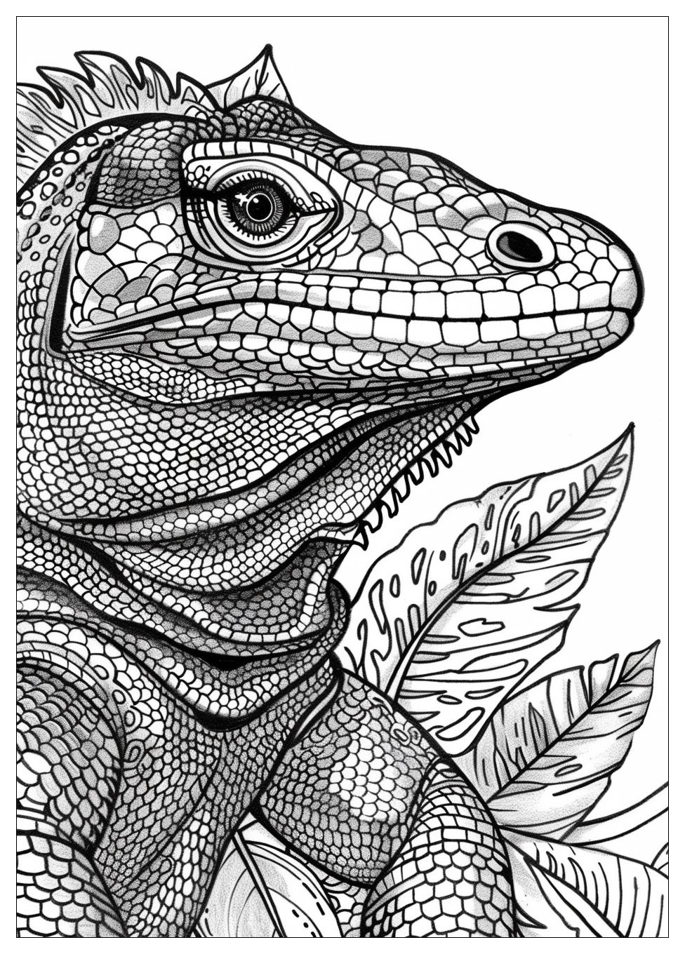 Komodo Dragon Coloring Pages-16