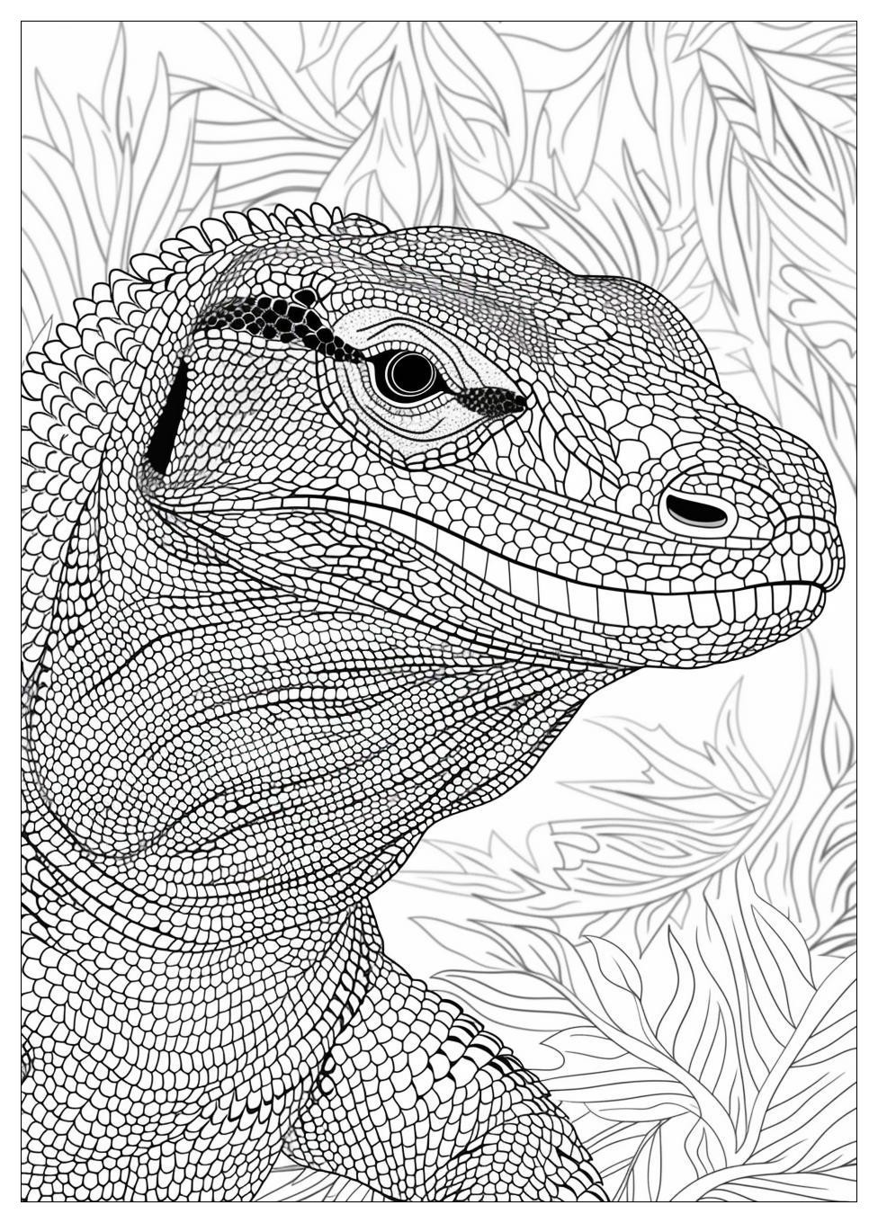 Komodo Dragon Coloring Pages-17