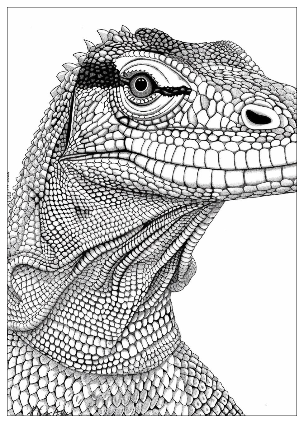 Komodo Dragon Coloring Pages-18
