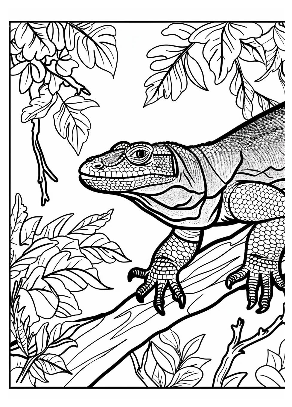 Komodo Dragon Coloring Pages-2
