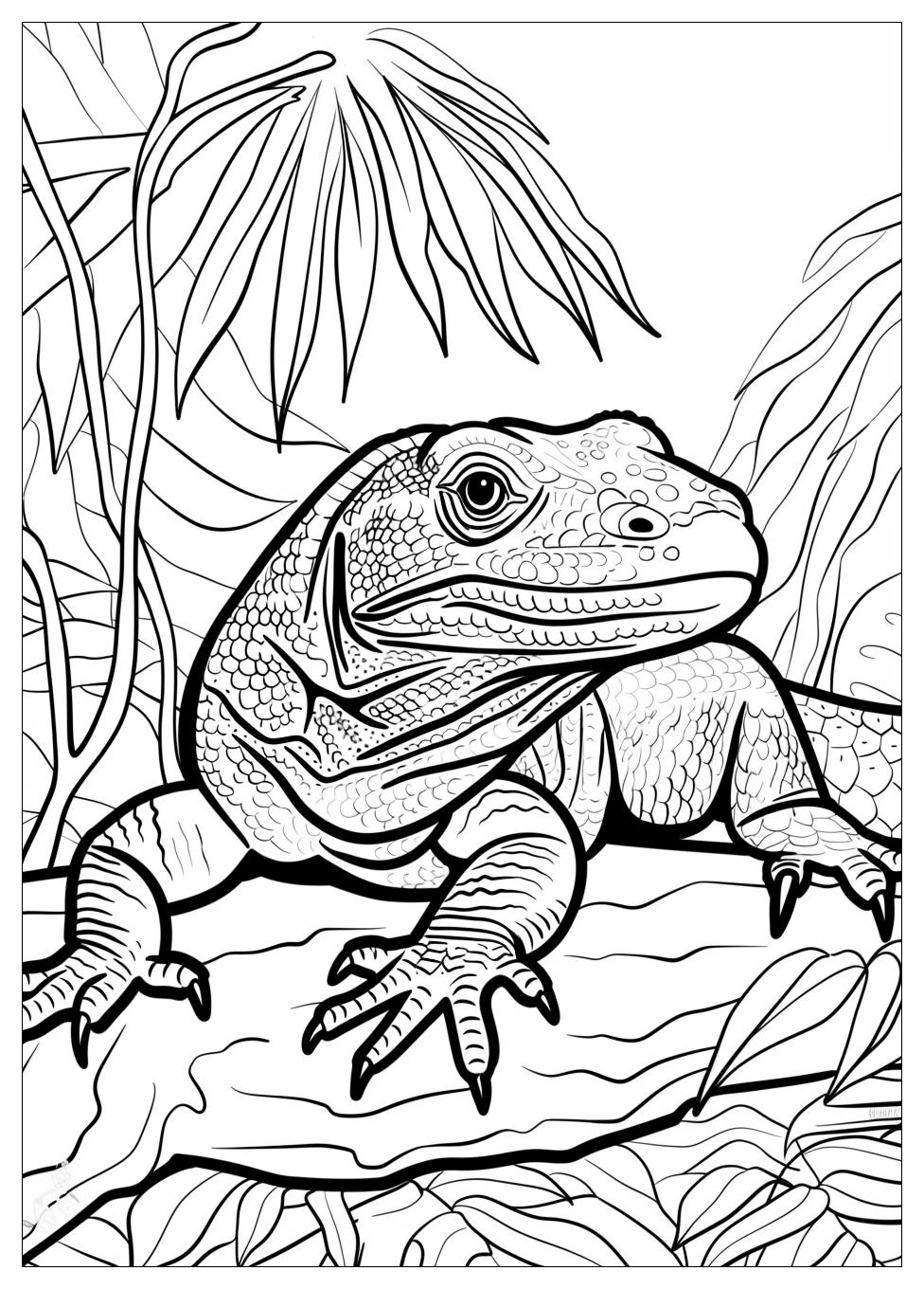 Komodo Dragon Coloring Pages-8