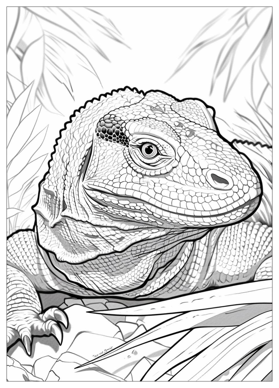 Komodo Dragon Coloring Pages-9