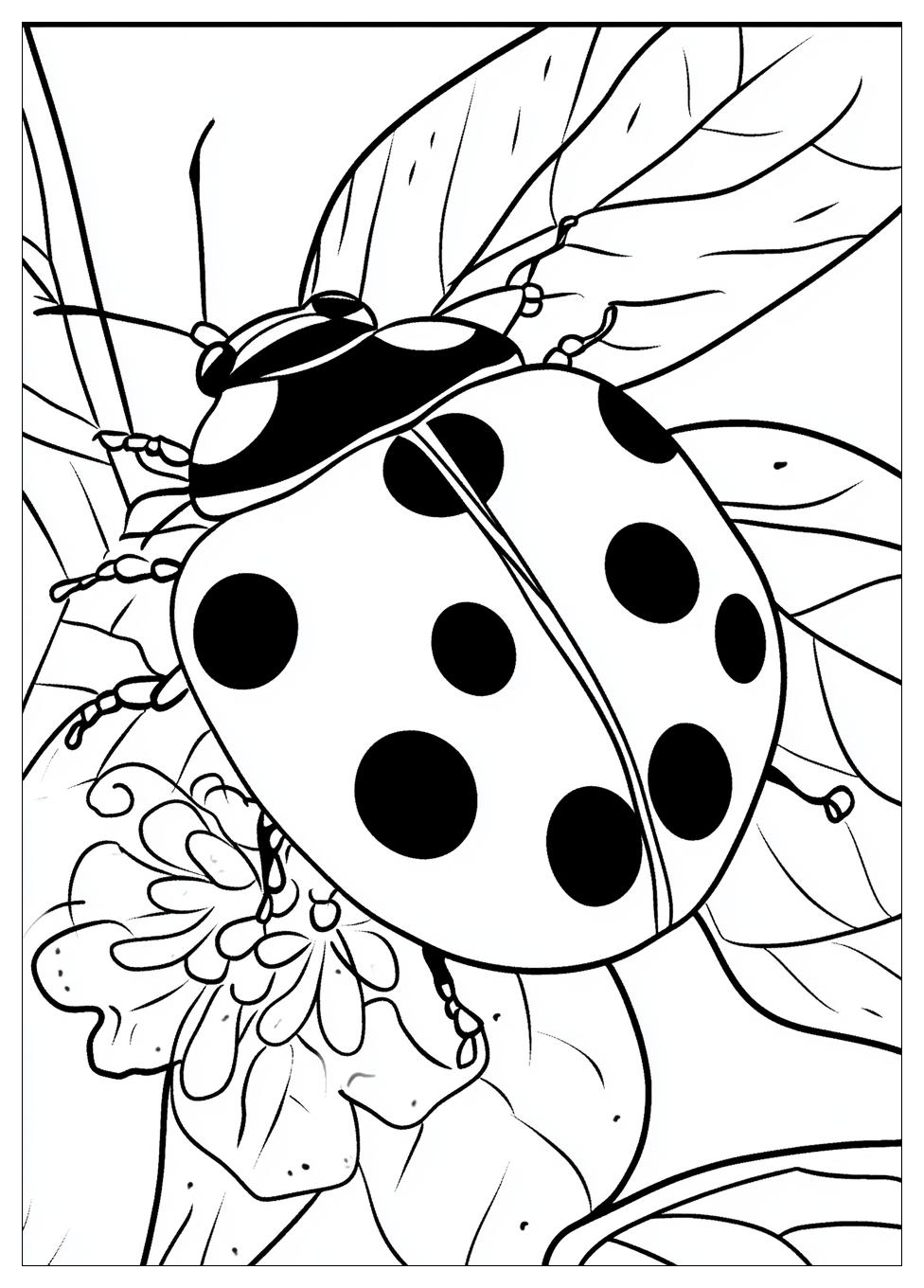 Ladybug Coloring Pages-9