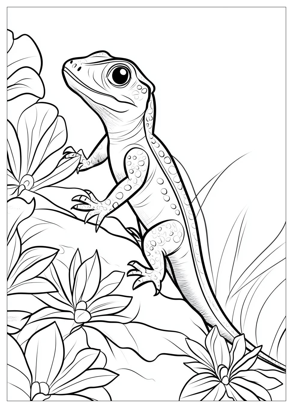 Lizard Coloring Pages-1