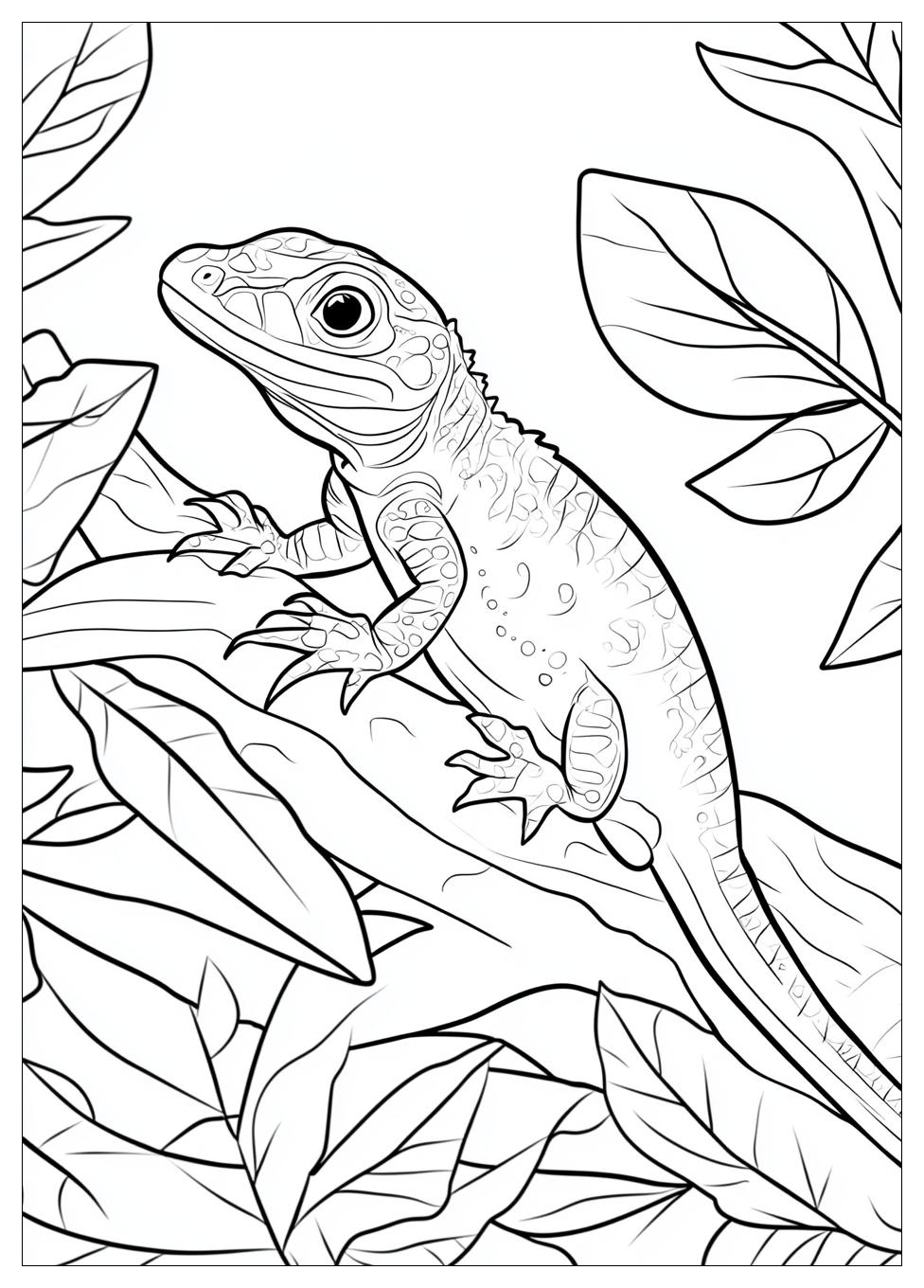 Lizard Coloring Pages-11