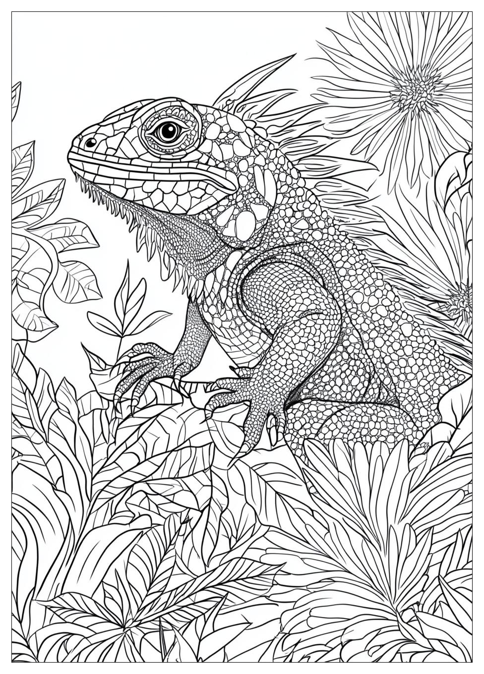 Lizard Coloring Pages-13