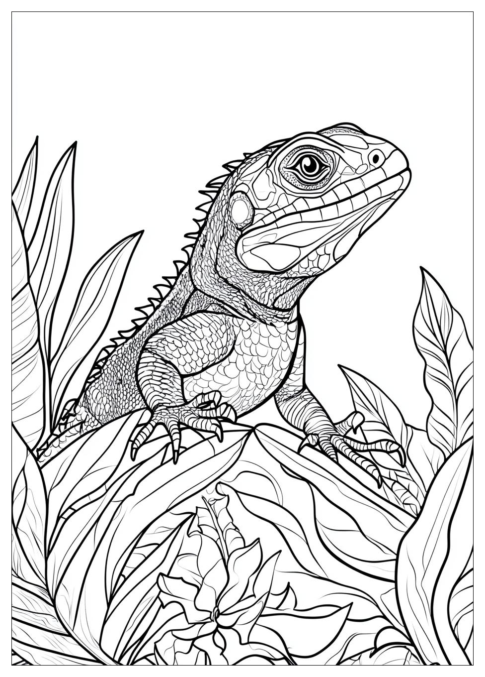 Lizard Coloring Pages-17