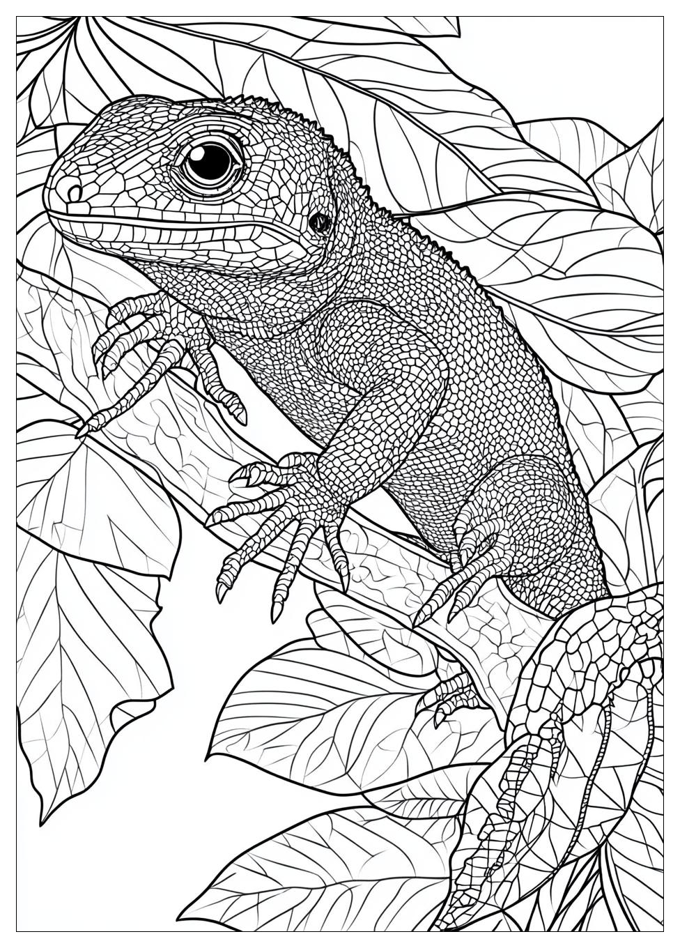 Lizard Coloring Pages-19