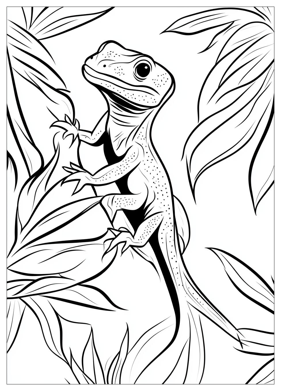 Lizard Coloring Pages-4
