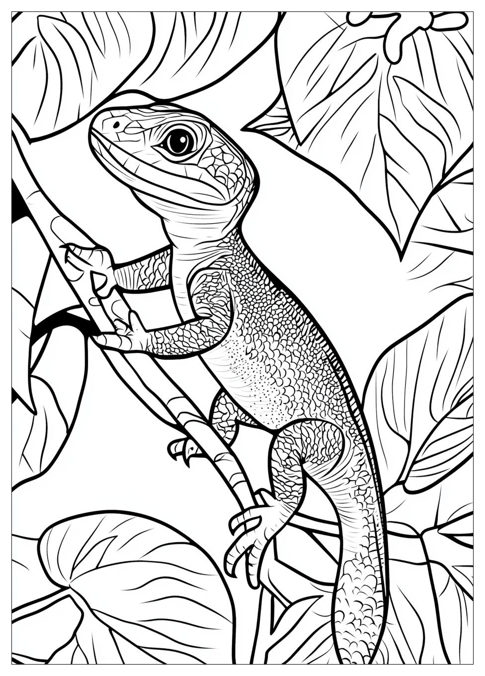 Lizard Coloring Pages-8